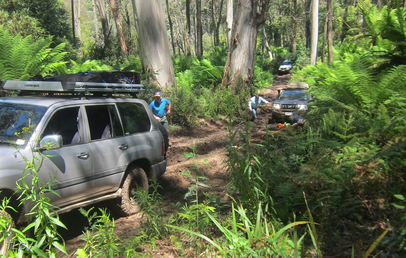 10-Dora needs a little help on the Deddick Trail.JPG